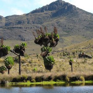 Mount Elgon National Park Mount Elgon National Park